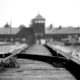 Освенцим. Фото: Pixabay.com