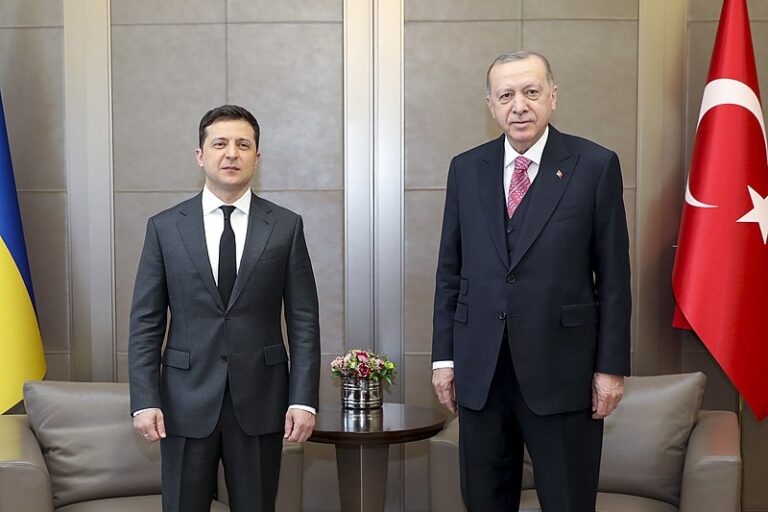 Working_visit_of_the_President_of_Ukraine_to_the_Republic_of_Turkey_(2)